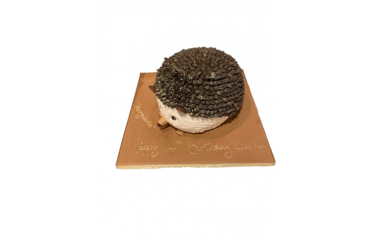 Hedgehog Full Figure